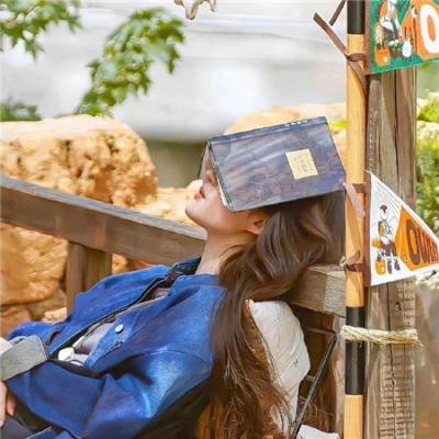 西科克斯七人组的归来