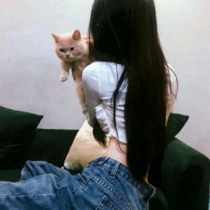 怪人的沙拉碗